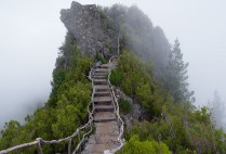 张高山书法价格(三门峡张高山书法价格)