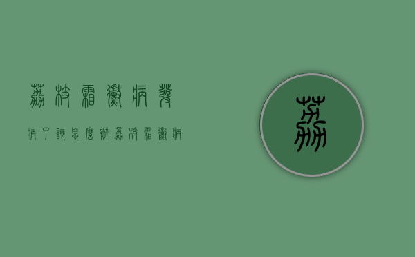 荔枝霜霉病发病了该怎么办？荔枝霜霉病防治措施！（2021年广东荔枝霜冻）