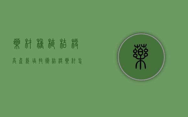 药材种植，桔梗高产栽培技术（桔梗药材怎么种植）