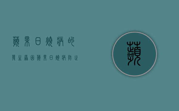 苹果日烧病的发生原因 苹果日烧病防止方法详细介绍（苹果树日灼病怎么防治）