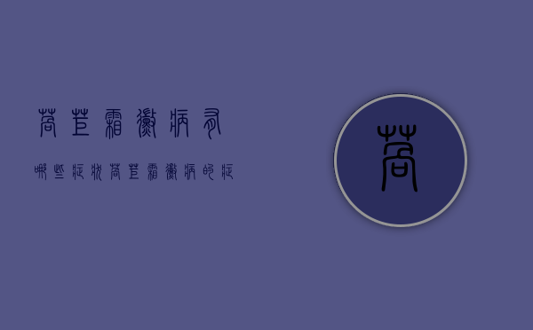 莴苣霜霉病有哪些症状？莴苣霜霉病的症状及解决方法（莴笋霜霉病能治好吗能吃吗）