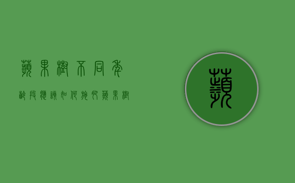 苹果树不同年龄段应该如何施肥（苹果树的施肥时期,特点和肥料种类）