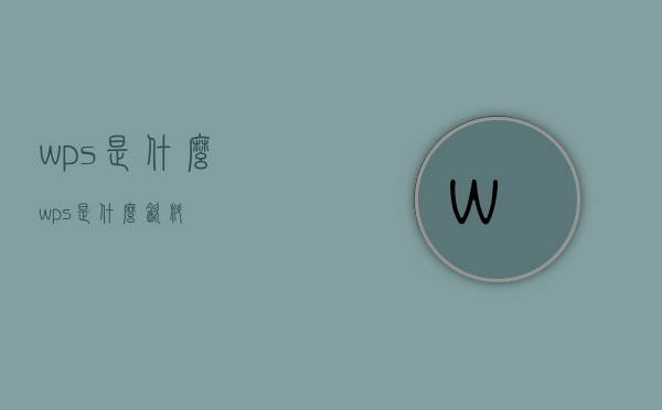 wps是什么（wps是什么饮料）