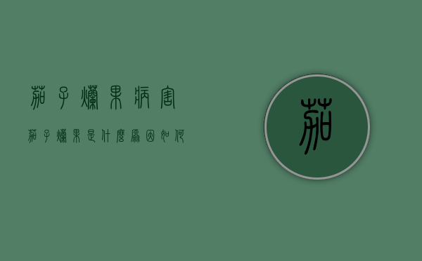 茄子烂果病害（茄子烂果是什么原因如何防治）